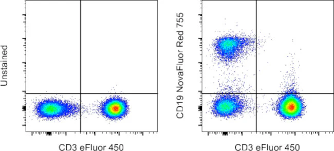 CD19 Monoclonal Antibody (SJ25C1), NovaFluor™ Red 755