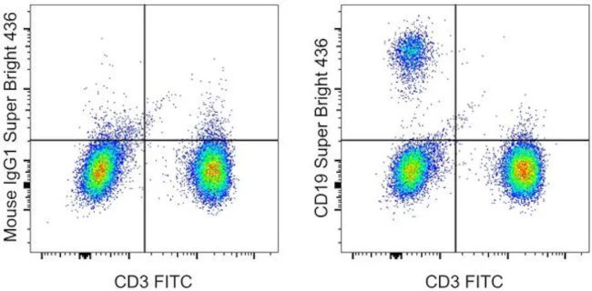 CD19 Monoclonal Antibody (SJ25C1), Super Bright 436, eBioscience