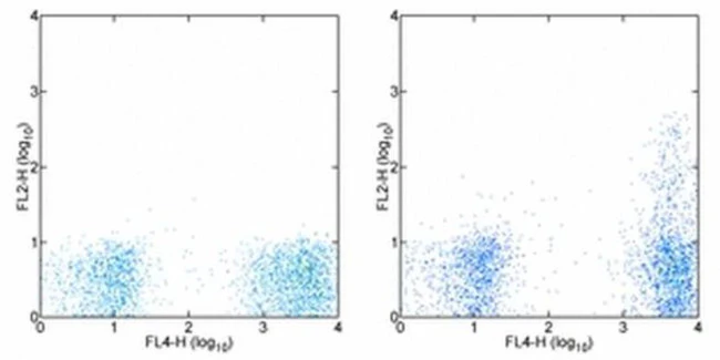 CD195 (CCR5) Monoclonal Antibody (eBioT21/8 (T21/8)), PE, eBioscience
