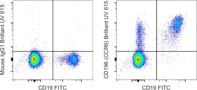 CD196 (CCR6) Monoclonal Antibody (R6H1), Brilliant Ultra Violet 615, eBioscience