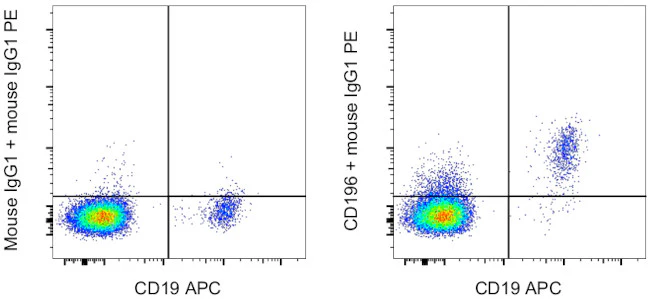 CD196 (CCR6) Monoclonal Antibody (R6H1), eBioscience