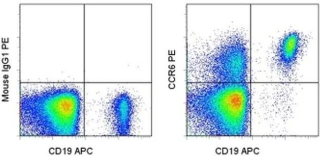 CD196 (CCR6) Monoclonal Antibody (R6H1), PE, eBioscience
