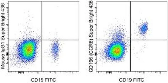 CD196 (CCR6) Monoclonal Antibody (R6H1), Super Bright 436, eBioscience
