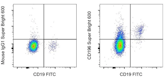 CD196 (CCR6) Monoclonal Antibody (R6H1), Super Bright 600, eBioscience