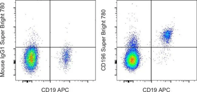 CD196 (CCR6) Monoclonal Antibody (R6H1), Super Bright 780, eBioscience