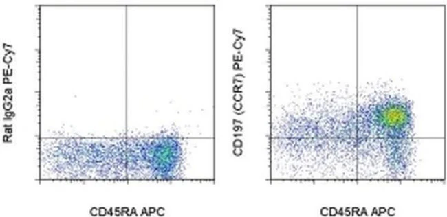 CD197 (CCR7) Monoclonal Antibody (3D12), PE-Cyanine7, eBioscience