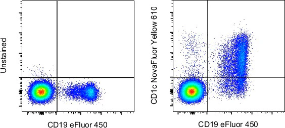 CD1c Monoclonal Antibody (L161), NovaFluor™ Yellow 610