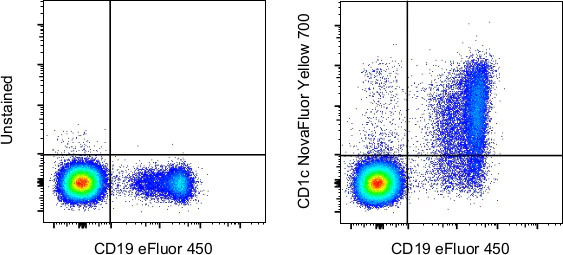 CD1c Monoclonal Antibody (L161), NovaFluor™ Yellow 700