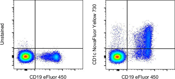 CD1c Monoclonal Antibody (L161), NovaFluor™ Yellow 730