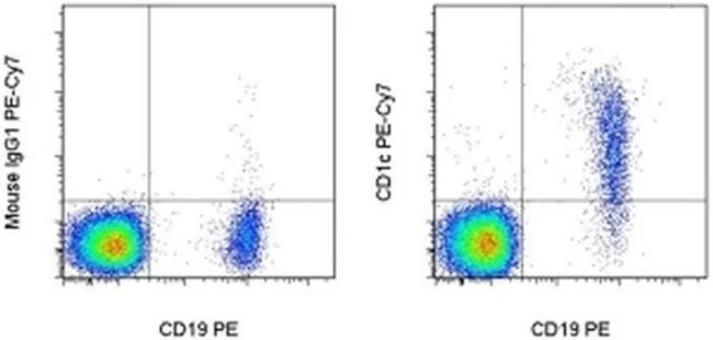 CD1c Monoclonal Antibody (L161), PE-Cyanine7, eBioscience