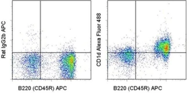 CD1d Monoclonal Antibody (1B1), Alexa Fluor 488, eBioscience