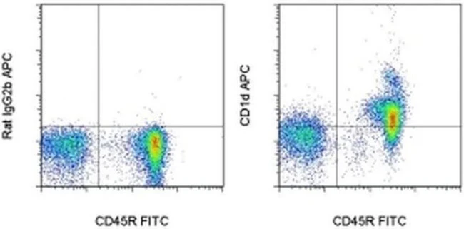 CD1d Monoclonal Antibody (1B1), APC, eBioscience