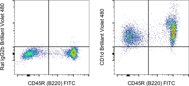 CD1d Monoclonal Antibody (1B1), Brilliant Violet™ 480, eBioscience™