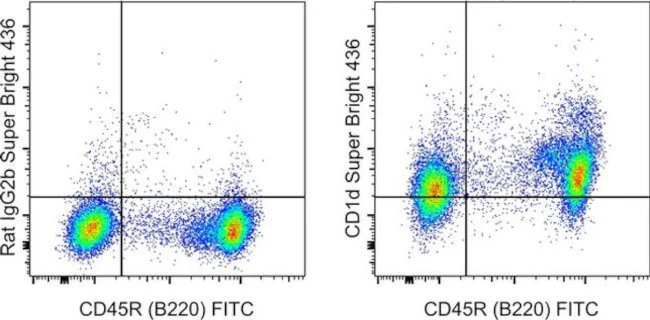 CD1d Monoclonal Antibody (1B1), Super Bright 436, eBioscience