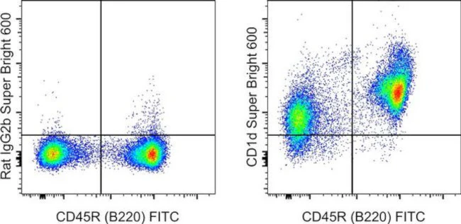 CD1d Monoclonal Antibody (1B1), Super Bright 600, eBioscience