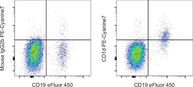 CD1d Monoclonal Antibody (51.1), PE-Cyanine7, eBioscience