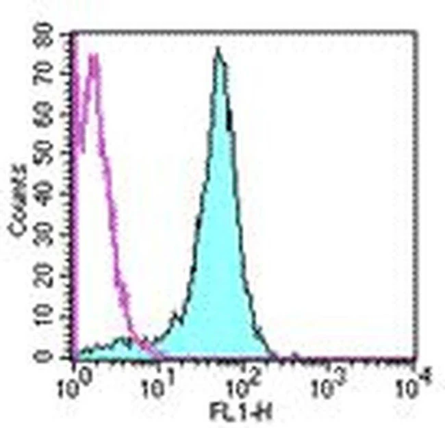 CD2 Monoclonal Antibody (RM2-5), FITC, eBioscience