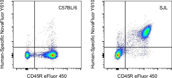 CD2 Monoclonal Antibody (RM2-5), NovaFluor Yellow 610, eBioscience