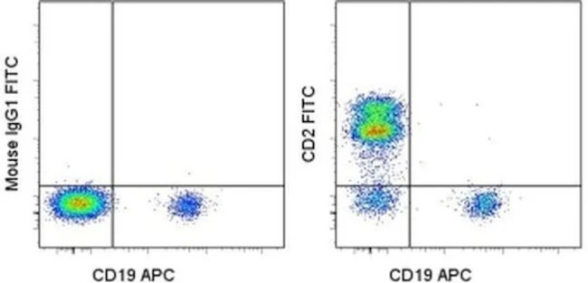 CD2 Monoclonal Antibody (RPA-2.10), FITC, eBioscience