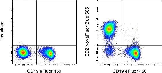 CD2 Monoclonal Antibody (RPA-2.10), NovaFluor Blue 585, eBioscience