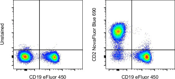 CD2 Monoclonal Antibody (RPA-2.10), NovaFluor Blue 690, eBioscience