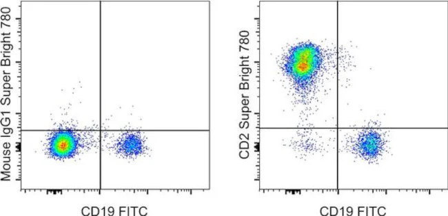CD2 Monoclonal Antibody (RPA-2.10), Super Bright 780, eBioscience