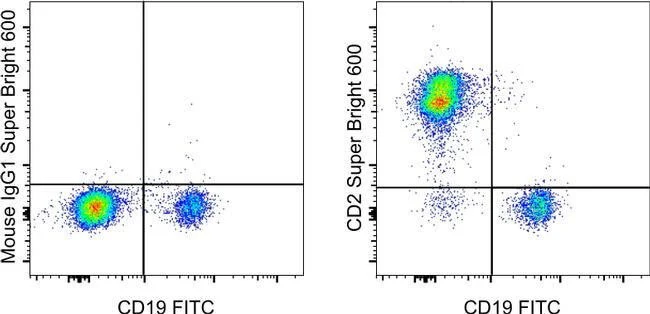 CD2 Monoclonal Antibody (RPA-2.10), Super Bright™ 600, eBioscience™