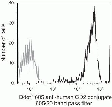 CD2 Monoclonal Antibody (S5.5), Qdot 605