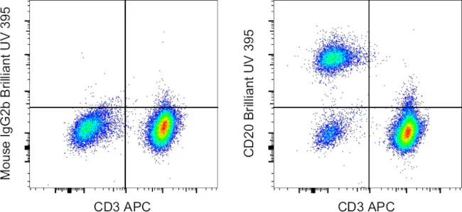 CD20 Monoclonal Antibody (2H7), Brilliant Ultra Violet 395, eBioscience