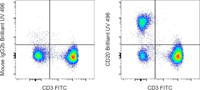CD20 Monoclonal Antibody (2H7), Brilliant Ultra Violet™ 496