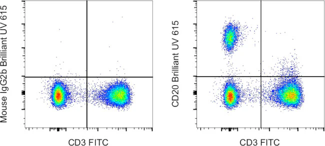 CD20 Monoclonal Antibody (2H7), Brilliant Ultra Violet™ 615