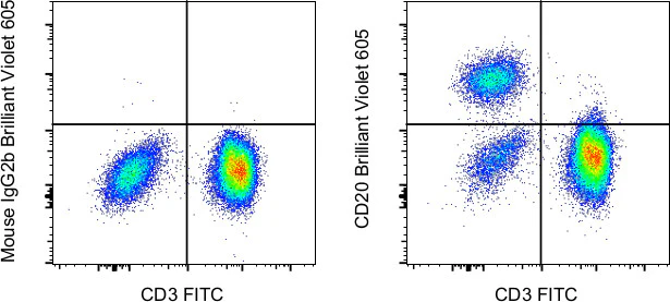 CD20 Monoclonal Antibody (2H7), Brilliant Violet™ 605