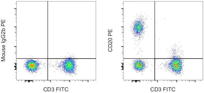 CD20 Monoclonal Antibody (2H7), PE, eBioscience
