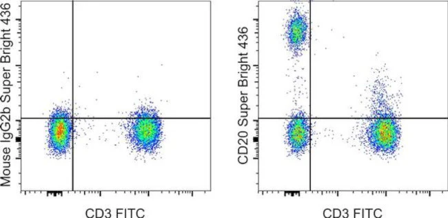 CD20 Monoclonal Antibody (2H7), Super Bright 436, eBioscience