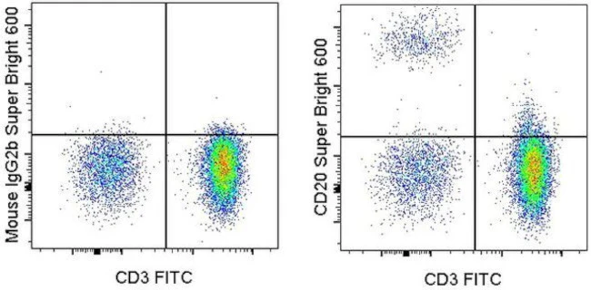 CD20 Monoclonal Antibody (2H7), Super Bright 600, eBioscience