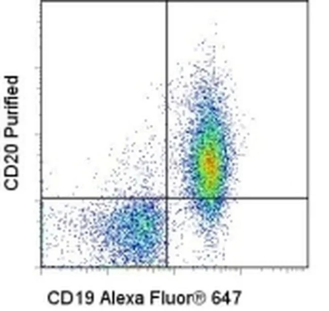 CD20 Monoclonal Antibody (AISB12), Functional Grade, eBioscience
