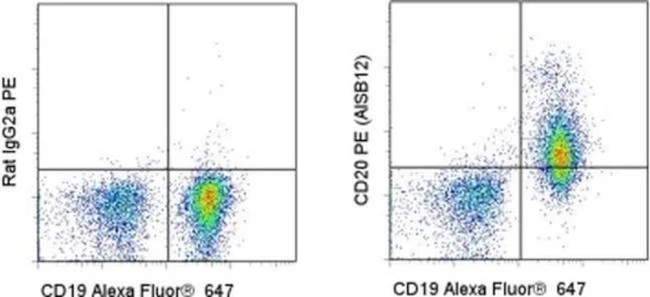 CD20 Monoclonal Antibody (AISB12), PE, eBioscience