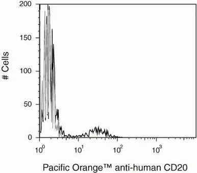 CD20 Monoclonal Antibody (HI47), Pacific Orange