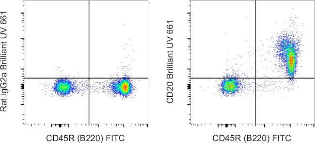 CD20 Monoclonal Antibody (QCH6A7), Brilliant Ultra Violet 661, eBioscience