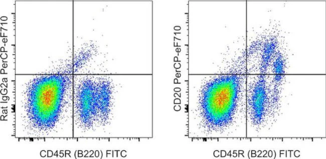 CD20 Monoclonal Antibody (QCH6A7), PerCP-eFluor 710, eBioscience