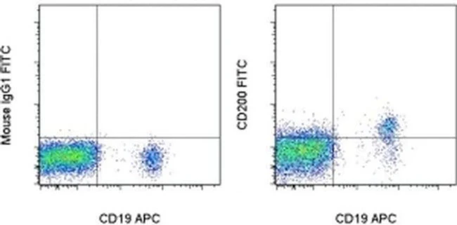 CD200 Monoclonal Antibody (OX104), FITC, eBioscience