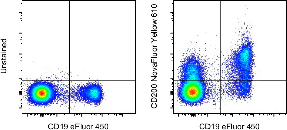 CD200 Monoclonal Antibody (OX104), NovaFluor™ Yellow 610