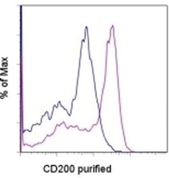 CD200 Monoclonal Antibody (OX90), eBioscience
