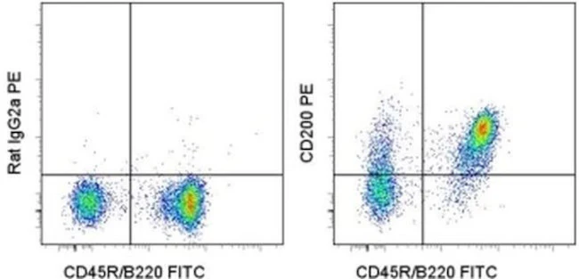 CD200 Monoclonal Antibody (OX90), PE, eBioscience