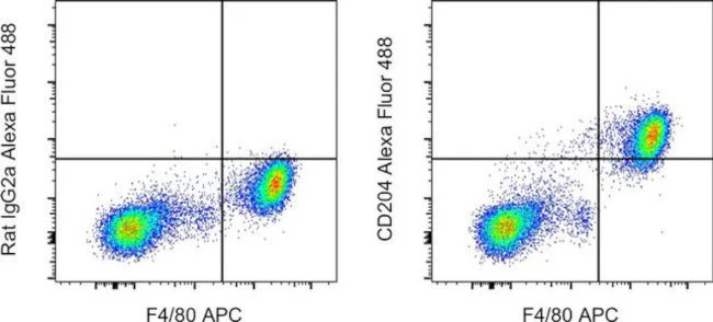 CD204 Monoclonal Antibody (M204PA), Alexa Fluor 488, eBioscience