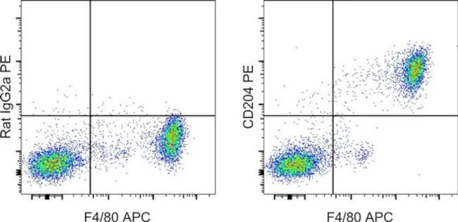 CD204 Monoclonal Antibody (M204PA), PE, eBioscience