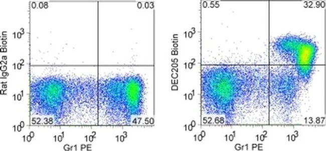 CD205 Monoclonal Antibody (205yekta), Biotin, eBioscience