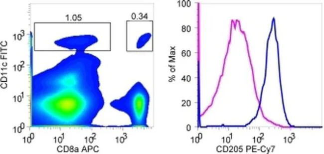 CD205 Monoclonal Antibody (205yekta), PE-Cyanine7, eBioscience