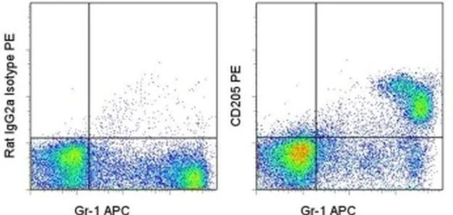 CD205 Monoclonal Antibody (205yekta), PE, eBioscience
