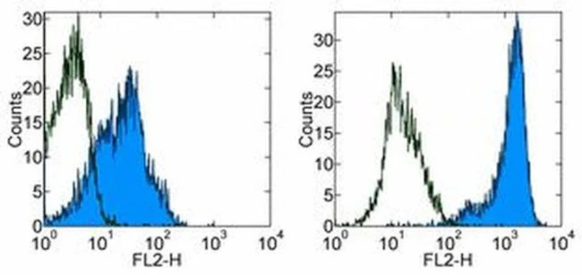 CD205 Monoclonal Antibody (MG38), eBioscience